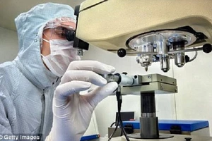 Đột phá mới giúp ngăn chặn sự phát triển của ung thư