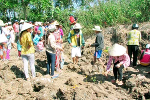 Hàng ngàn người đổ xô đến xem mặt ruộng 'đột nhiên nhô cao lên 1,8 m