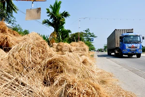 Bán rơm rạ thu lãi cao