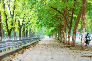 Những con đường tại Hà Nội lãng mạn như phim Hàn