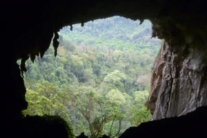 Phát hiện thêm nhiều hang động hùng vĩ tại Phong Nha - Kẻ Bàng