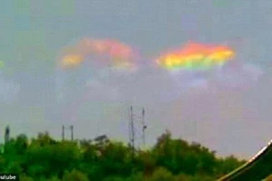 Những cách nhận biết động đất và mẹo thoát thân khẩn cấp