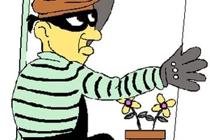 Trộm lừa đảo trộm