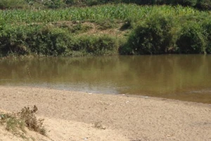 Mưa lớn ở Đà Lạt, bé gái mất tích