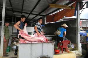 Heo hơi miền Bắc đi ngược vào Nam