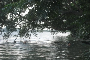 Tắm sông năm trẻ bị chết đuối