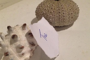 Mẩu giấy rách được đấu giá hơn 700 triệu đồng