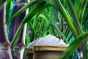 Kiến nghị Bộ Ngoại giao can thiệp để công ty nước ngoài trả nợ cho dân