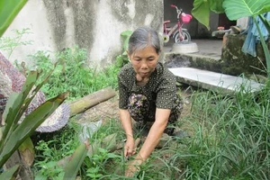 Người đàn bà 10 năm ăn cám lợn nuôi... 4 con học đại học cùng chồng tàn tật