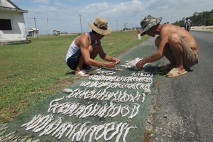 Bí ẩn thương lái Trung Quốc ồ ạt thu mua “địa sâm”: Nguy cơ biến mất loài giun biển
