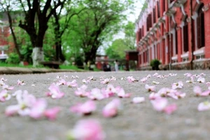 Học sinh lớp 11 đâm chết người vì bạn gái bị trêu ghẹo