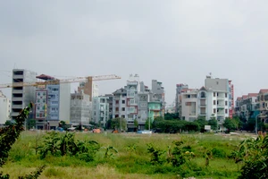 Sử dụng đất không đúng mục đích bị thu hồi tiền thuê đất được miễn, giảm 