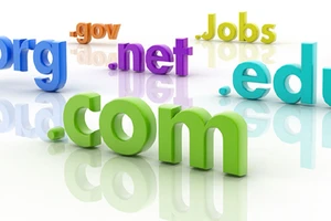 Đấu giá công khai kho số viễn thông và tên miền internet “hot” 