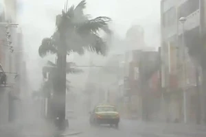 Nửa triệu người Nhật phải sơ tán vì siêu bão