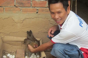 Thành triệu phú nhờ nuôi gà rừng