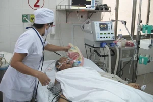 Ăn gan cá nóc, một người nguy kịch 