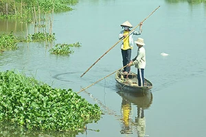 Thủ tướng chỉ thị: Nghiêm cấm sử dụng xung điện khai thác thủy sản