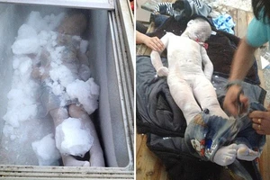 Ướp xác 2 cậu con trai chết đuối trong tủ đông lạnh vì quá đau buồn