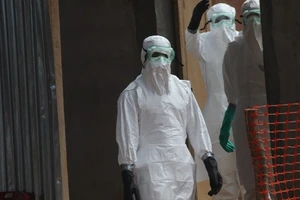 Hơn 900 người chết vì Ebola
