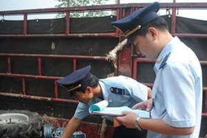 Người báo tin vi phạm hành chính được thưởng đến 50 triệu đồng