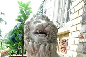 Dọn dẹp sư tử lạ