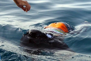 Thuyền chở 170 người vượt biên đến châu Âu chìm ngoài biển