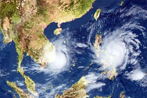 Ban hành quy định 5 cấp độ cảnh báo rủi ro thiên tai