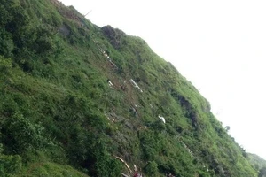 Cận cảnh cẩu, kéo xe khách vụ tai nạn thảm khốc ở Sa Pa khỏi vực sâu