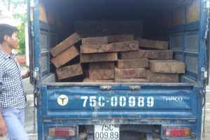 Bắt giữ một xe chở gỗ quý trái phép
