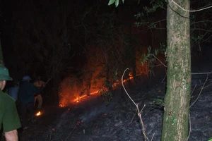 Hạt phó kiểm lâm hy sinh sau khi nỗ lực chữa cháy rừng