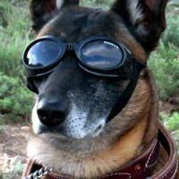 8 ý tưởng kì quặc mang lại lợi nhuận bất ngờ