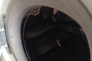 TPHCM: Mém xỉu vì sờ trúng... rắn hổ trong máy giặt