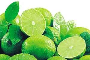 Công dụng tuyệt vời của vỏ chanh 