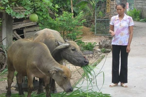 Tăng mức vay ưu đãi lãi suất cho hộ nghèo 