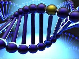 Thưởng 30 lần lương cơ sở cho giảng viên nghiên cứu khoa học