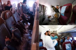 Năm 2014, các "đại gia" trên thế giới tiêu tiền "điên rồ" thế nào?