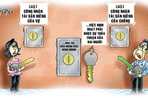 Quy định mới quan trọng về chia tài sản vợ chồng trong thời kỳ hôn nhân