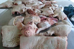 Phát hiện hàng trăm ký thịt heo bệnh chuẩn bị mang lên TP.HCM tiêu thụ