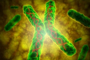 Tìm ra bí quyết giúp trẻ mãi không già