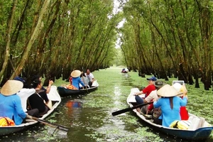 Du xuân dưới rừng Tràm Trà Sư