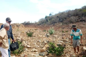 Chính thức chấm dứt cho tìm kiếm kho báu 4.000 tấn vàng Núi Tàu