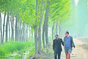 Kinh ngạc: Hai cụ ông khuyết tật trồng hơn 10.000 cây xanh suốt 10 năm