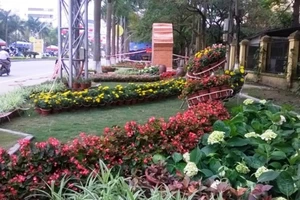 Thanh Hóa bỏ 3 tỉ đồng làm đường hoa đón năm du lịch