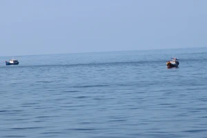 Đặc công nước tiếp cận hiện trường máy bay Su 22 mất tích