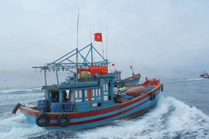 Tàu cá Bình Định bị cảnh sát biển Trung Quốc vô cớ tấn công 