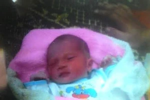 Bé gái sơ sinh bị bỏ rơi ở bìa rừng bị kiến bu cắn