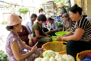 Chùm ảnh: Những suất cơm chay tình nghĩa người Sài Gòn