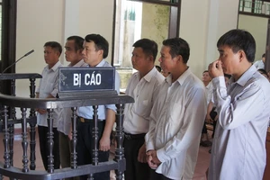 Cấp đất sai, chủ tịch và phó chủ tịch xã cùng hầu tòa 