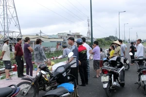 Đang hái rau muống bị xe lửa tông chết