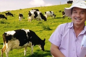 Bầu Đức sẽ ra mắt thương hiệu bò Gia Lai